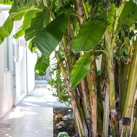 Casaverde Lejlighed *